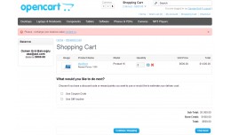 Not Enough Balance Message in Cart Page  v0.1
