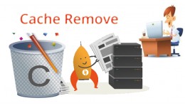 cache remove