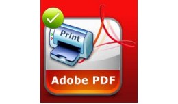 PDF & Print button
