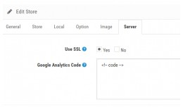 Google Analytics script per store