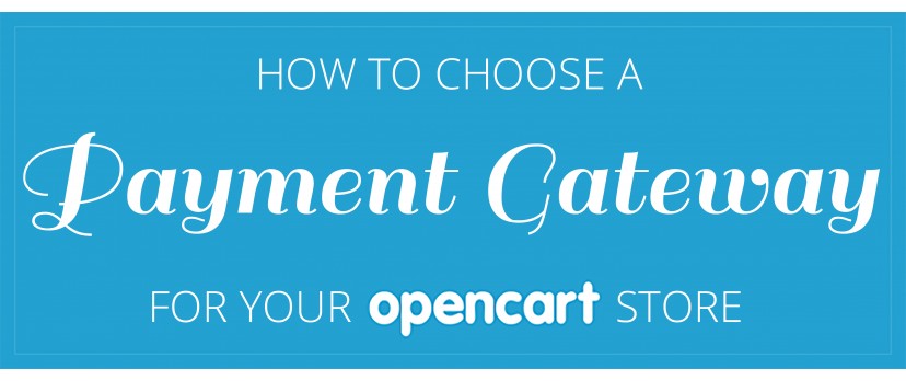 How to choose a Payment Gateway for your OpenCart store