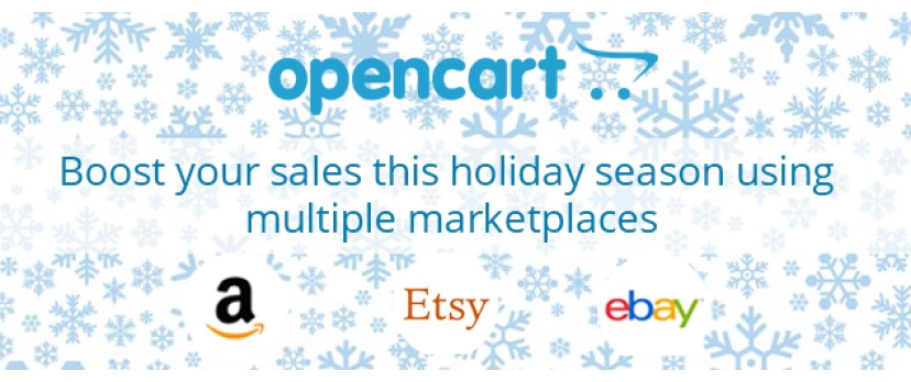 Boost your sales this holiday season using multiple marketplaces
