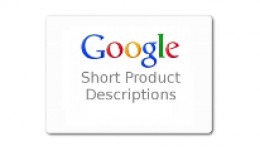 Product Short Description for Google