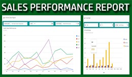 Sales Performance Report