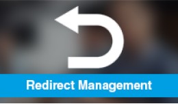 Easy Redirect Management (SEO Ultimate)