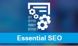 Essential SEO Manager (SEO Ultimate)