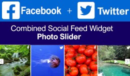 Facebook + Twitter Combined Feed Widget / Slider..